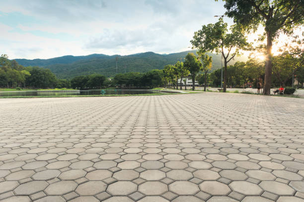 Best Driveway Paving Contractor  in Ansonia, CT